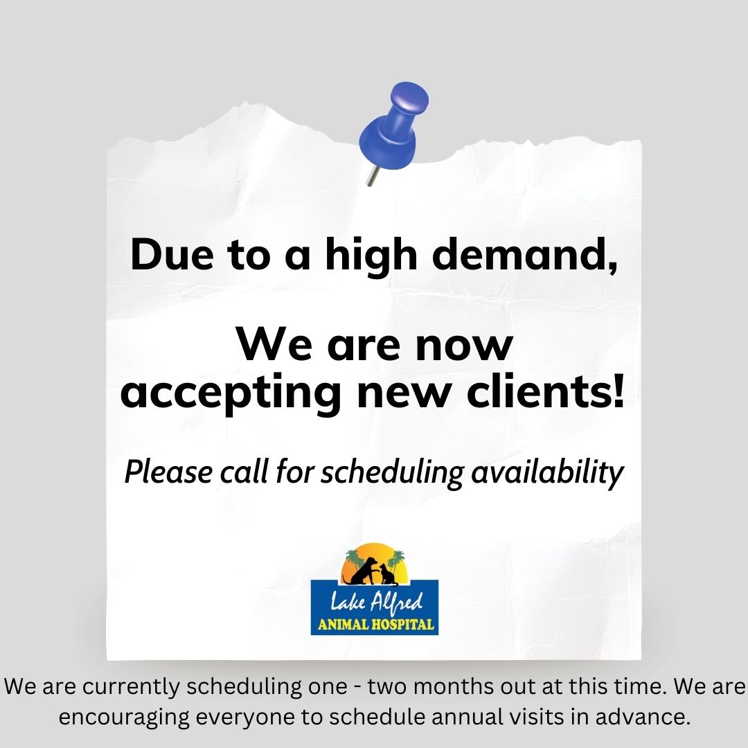 Lake Alfred Animal Hospital Lake Alfred veterinarians